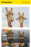 Optimised for Mobile