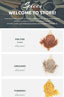 Optimised for Mobile