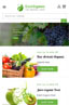 Optimised for Mobile