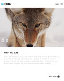Optimised for Tablet