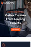 Optimised for Mobile