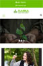 Optimised for Mobile
