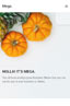 Optimised for Mobile