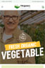 Optimised for Mobile