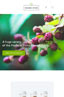 Optimised for Mobile