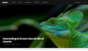 Optimised for Desktop