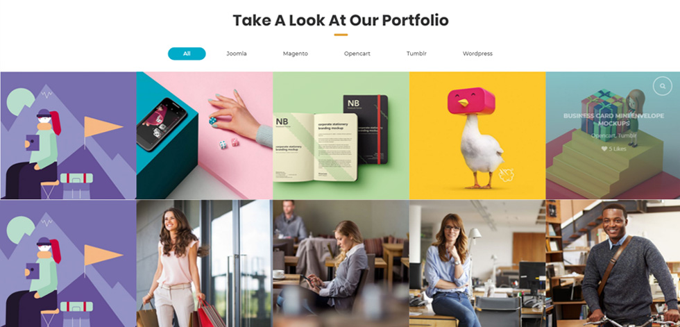 Portfolio
