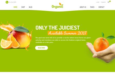 5 Best WordPress Eco Green Theme