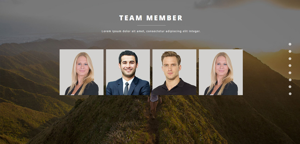 Team