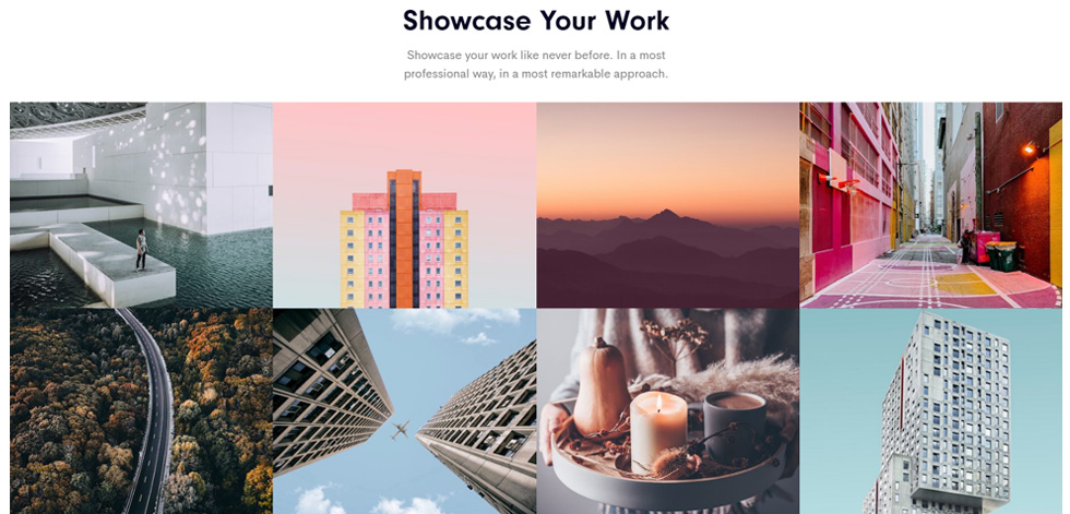 Portfolio