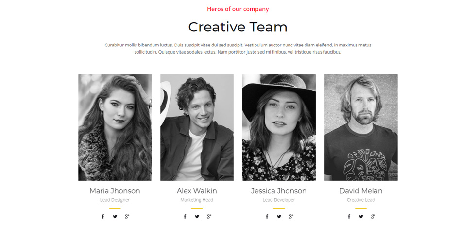 Team