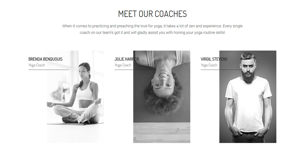 Coaches