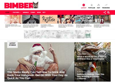 5+ Best WordPress Viral Themes 2017