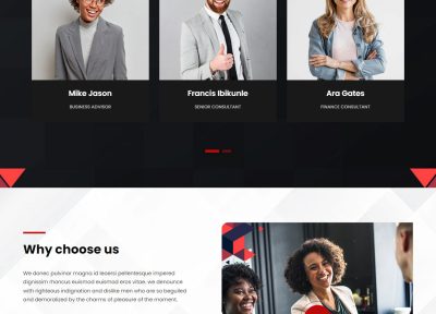 35+ Best Business WordPress Themes 2022