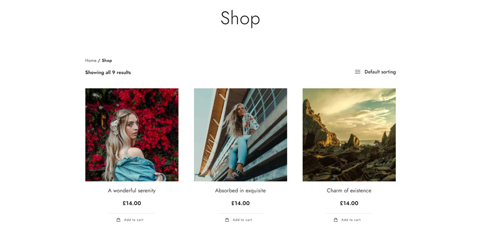 Shop page
