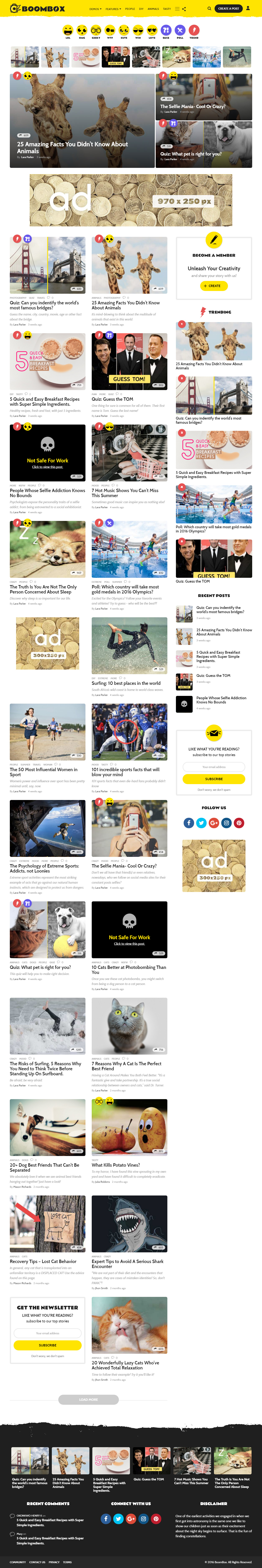 BoomBox WordPress Theme like Boredpanda.com