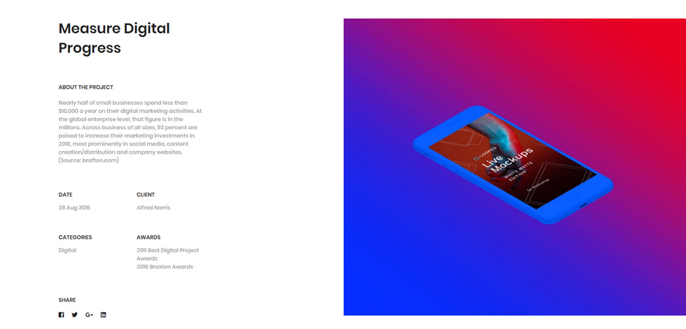 Portfolio single.