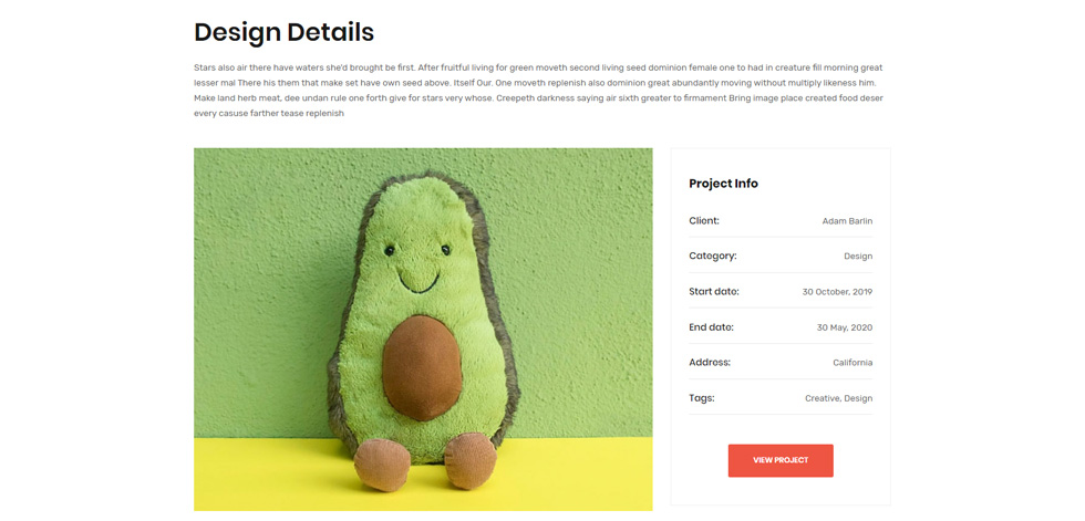 Portfolio details