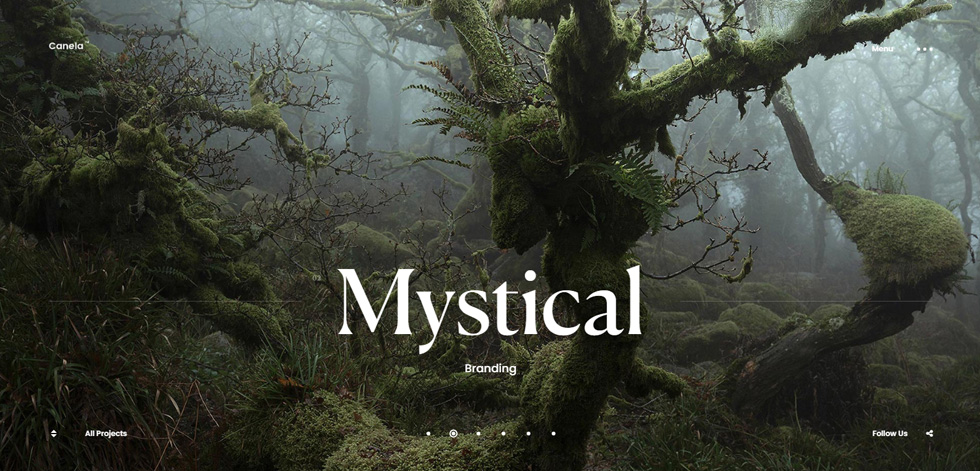 Home page