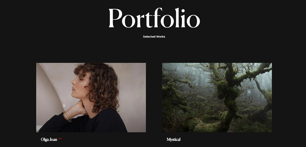 Portfolio