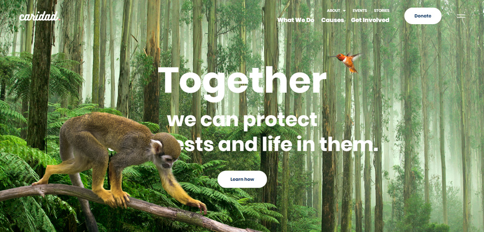 Home page