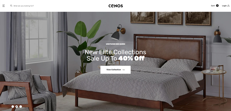Home page