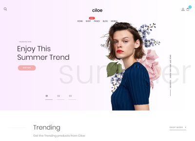 5 Latest WordPress BuddyPress Themes 2018