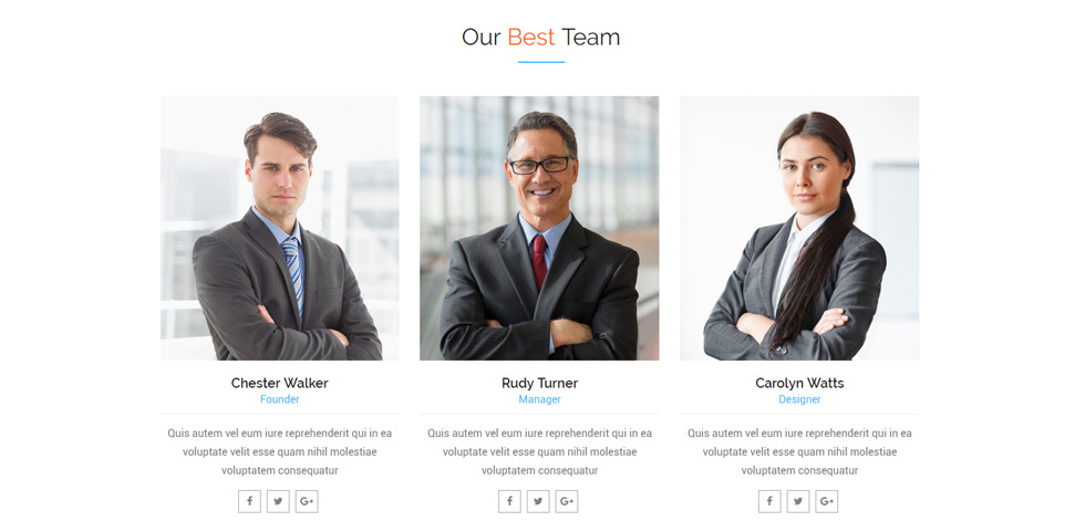 Team