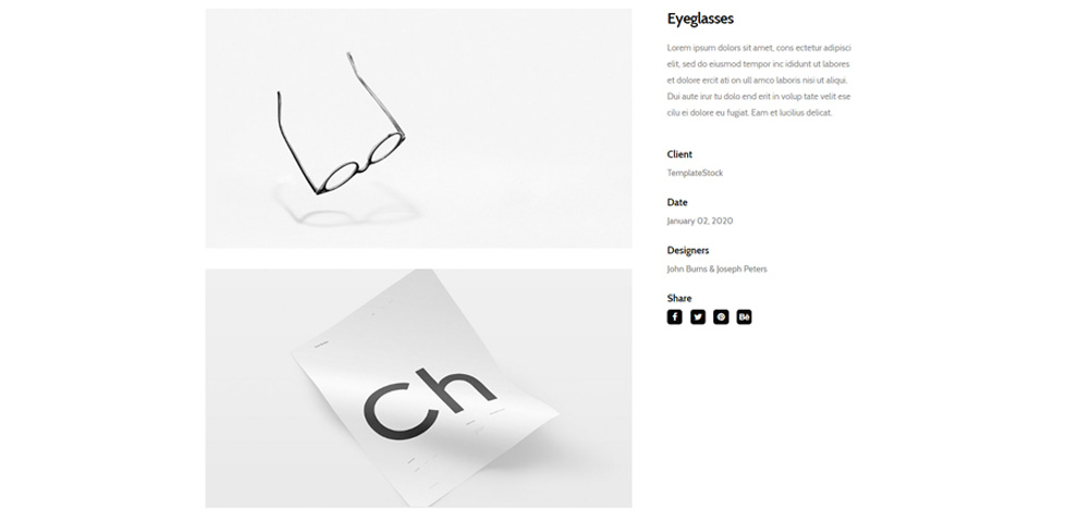 Portfolio single