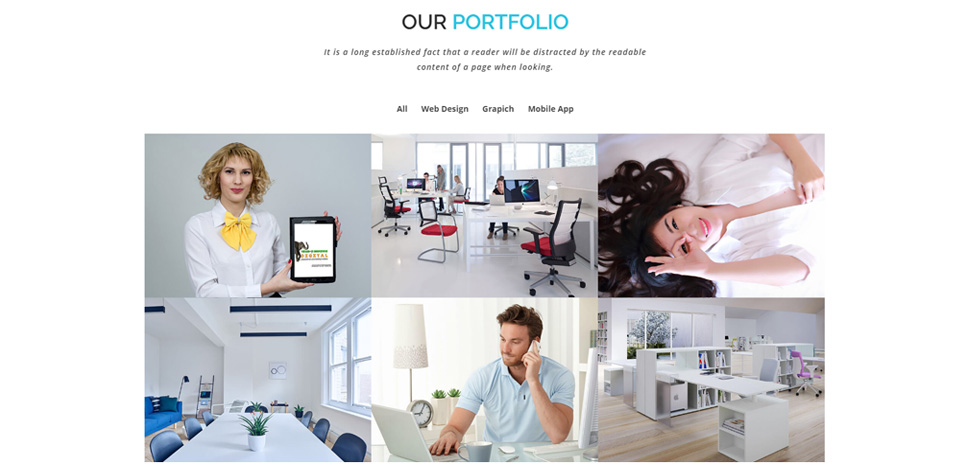 Portfolio