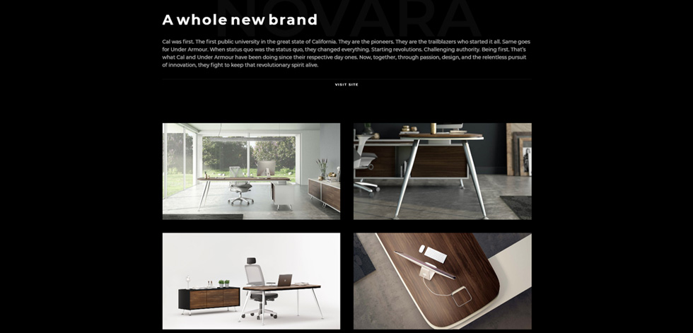 Portfolio details