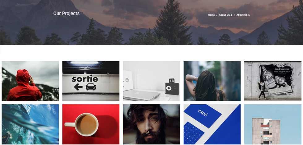 Portfolio