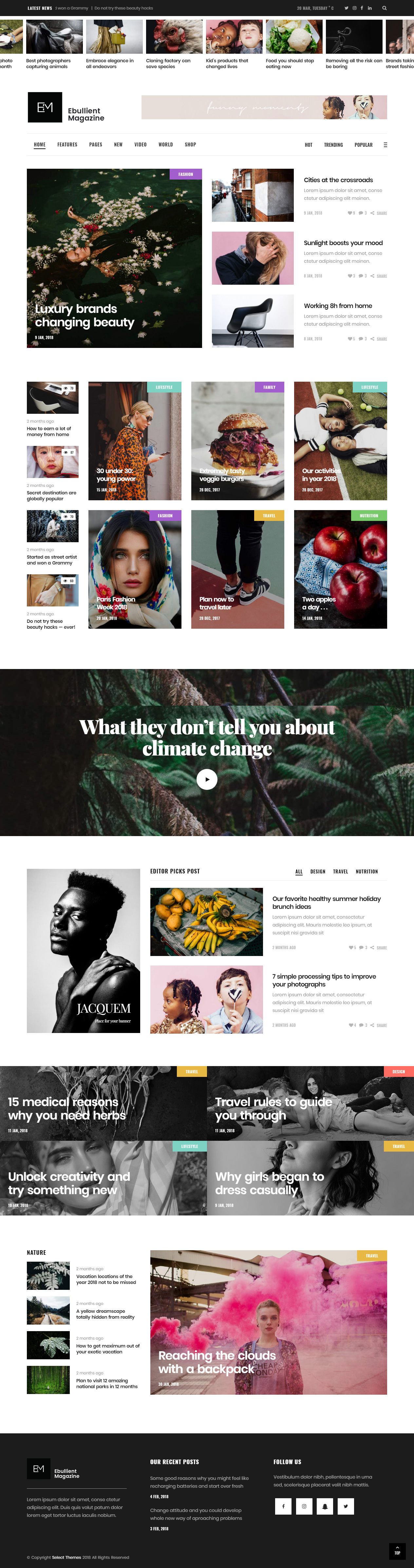 Ebullient Best Blog WordPress Themes