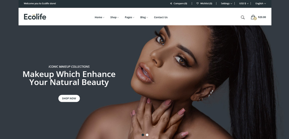 Home page