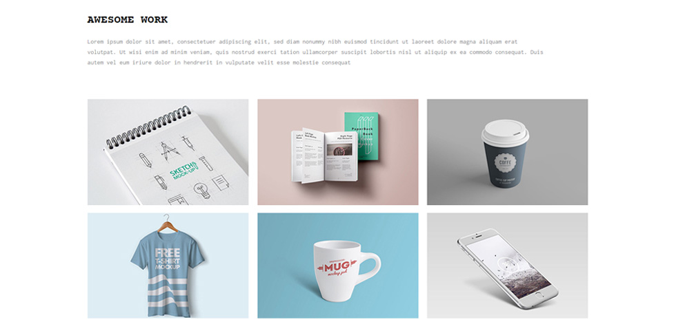 Portfolio