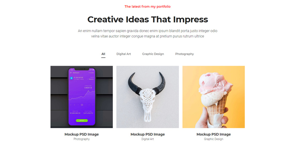 Portfolio