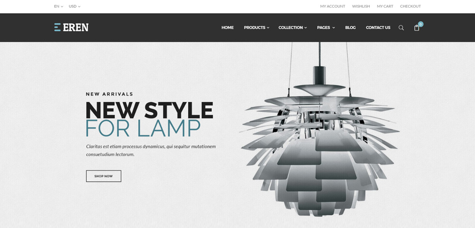 Home page