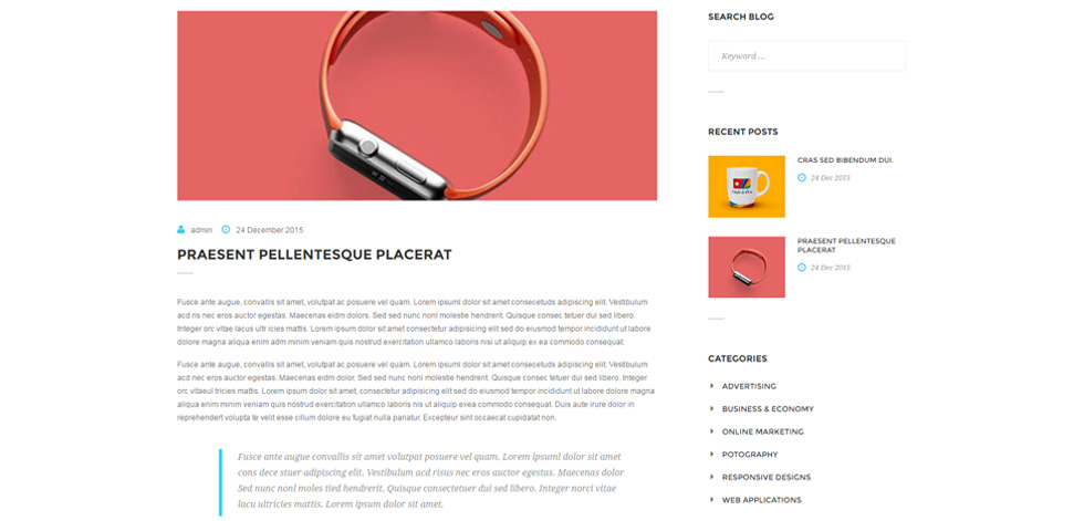 Blog post page
