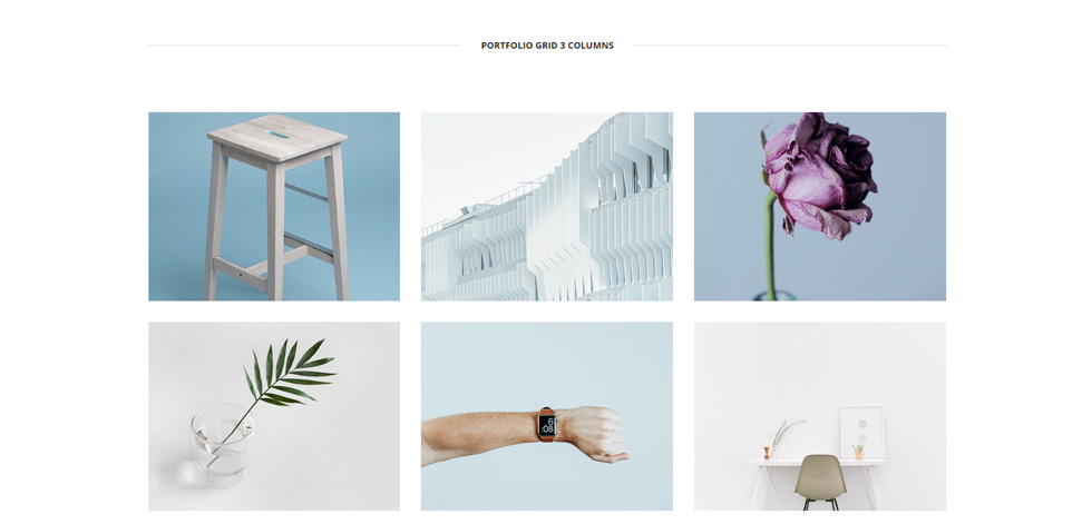 Portfolio