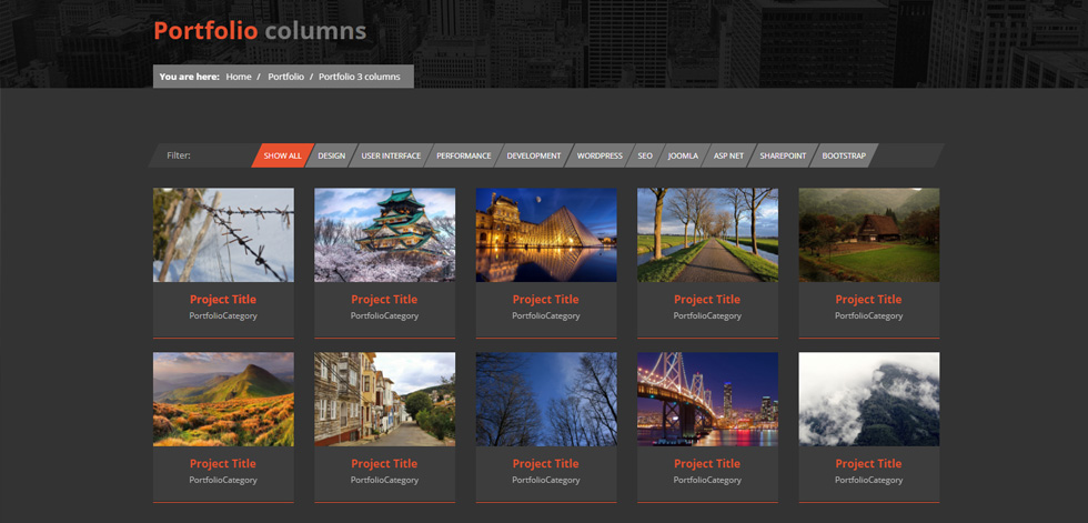 Portfolio