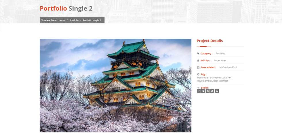 Portfolio single