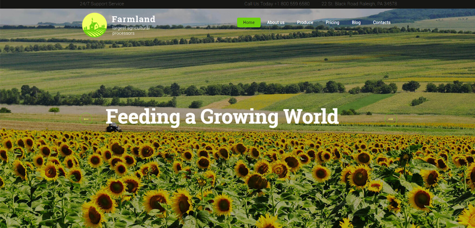 Home page