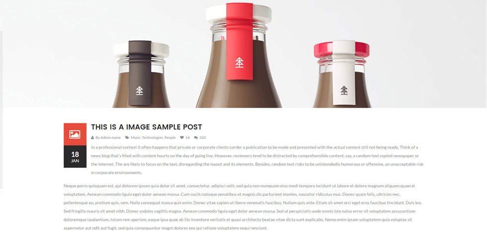 Blog post page