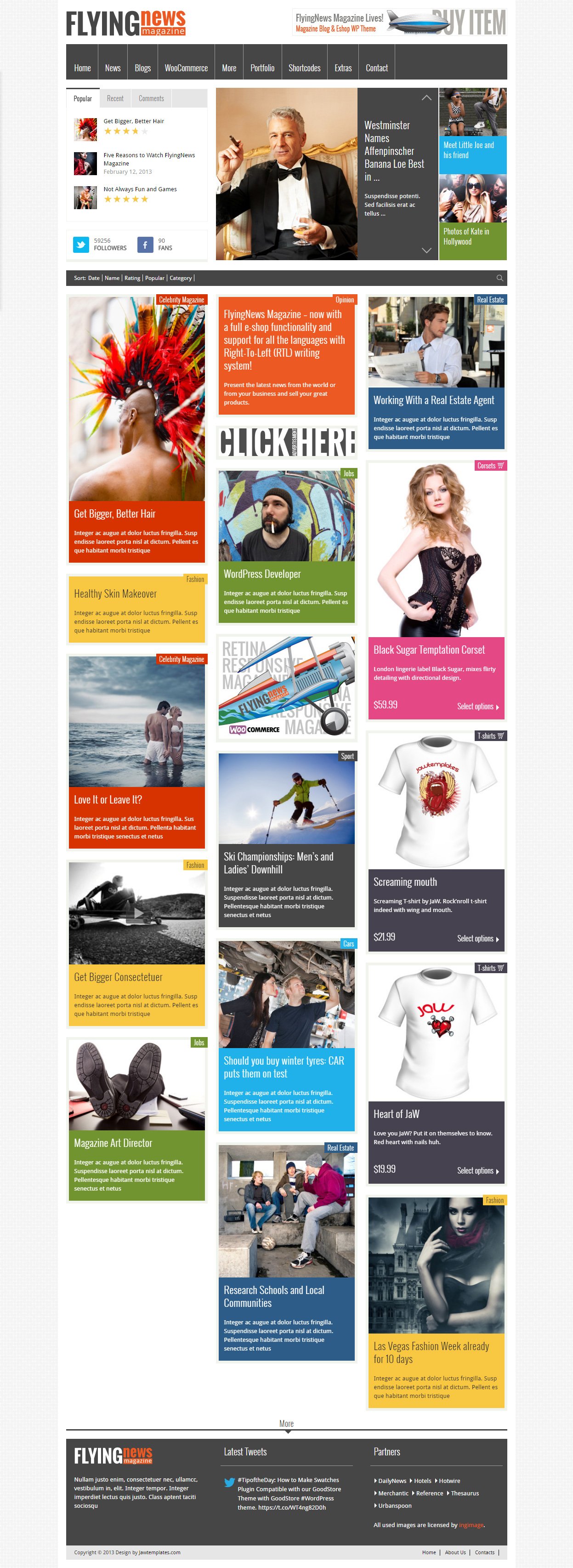 FlyingNews WordPress Theme Like Pinterest