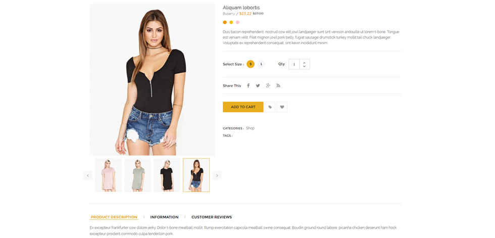 Product page