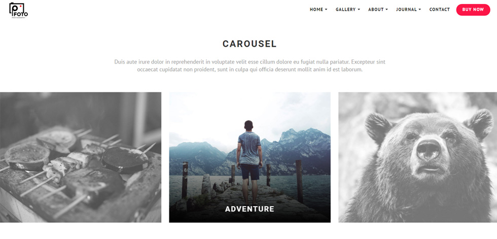 Home page