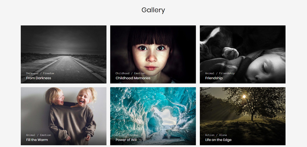 Gallery