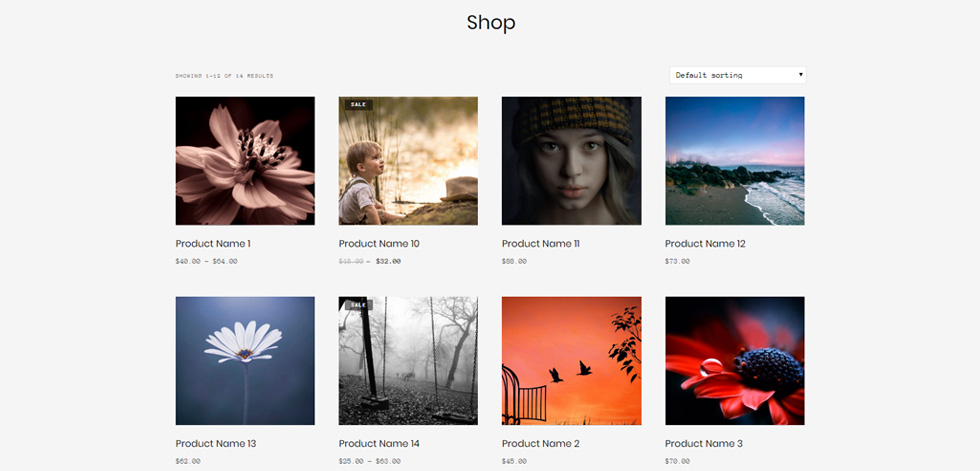 Shop page