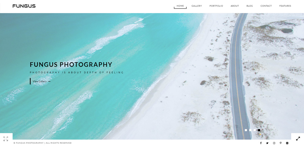 Home page