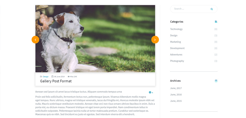 Blog post page